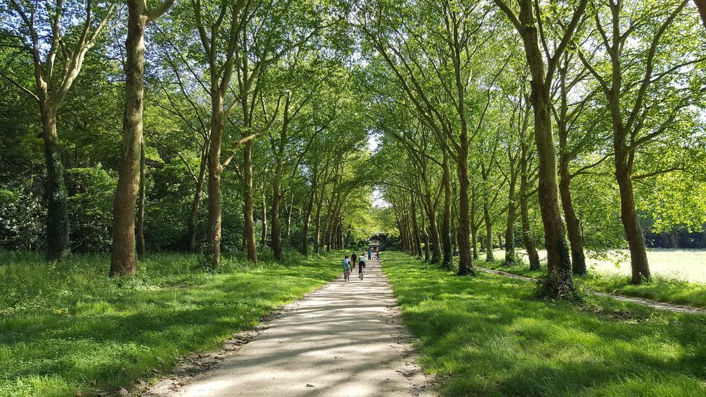 Les Carres Lägenhet Versailles Exteriör bild