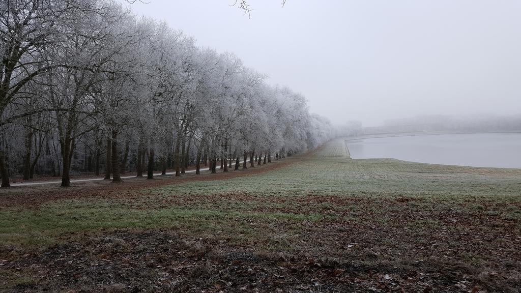 Les Carres Lägenhet Versailles Exteriör bild