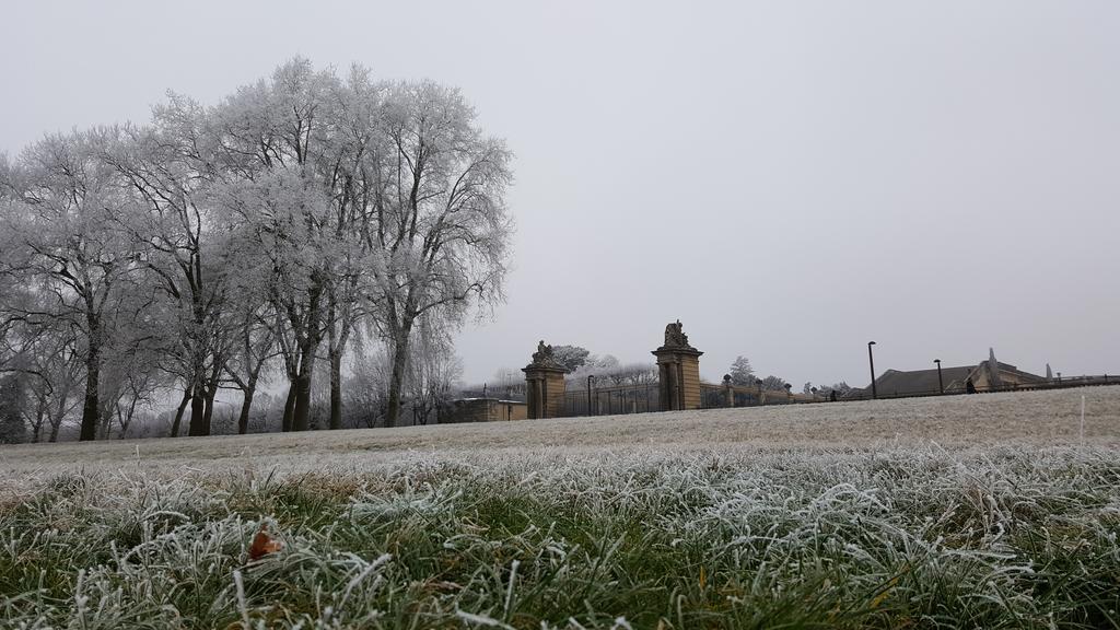 Les Carres Lägenhet Versailles Exteriör bild